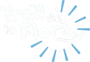 Trail de la Flora