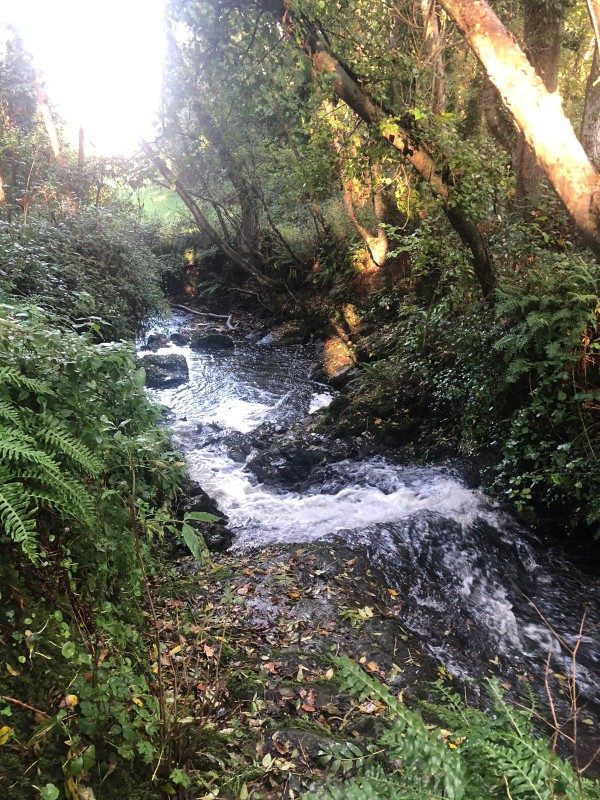 Trail de la Flora